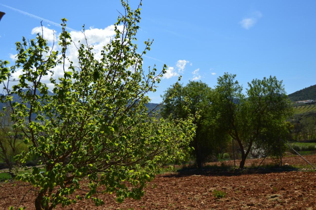 Cortijo Petra Bed and Breakfast Villanueva del Rosario Buitenkant foto