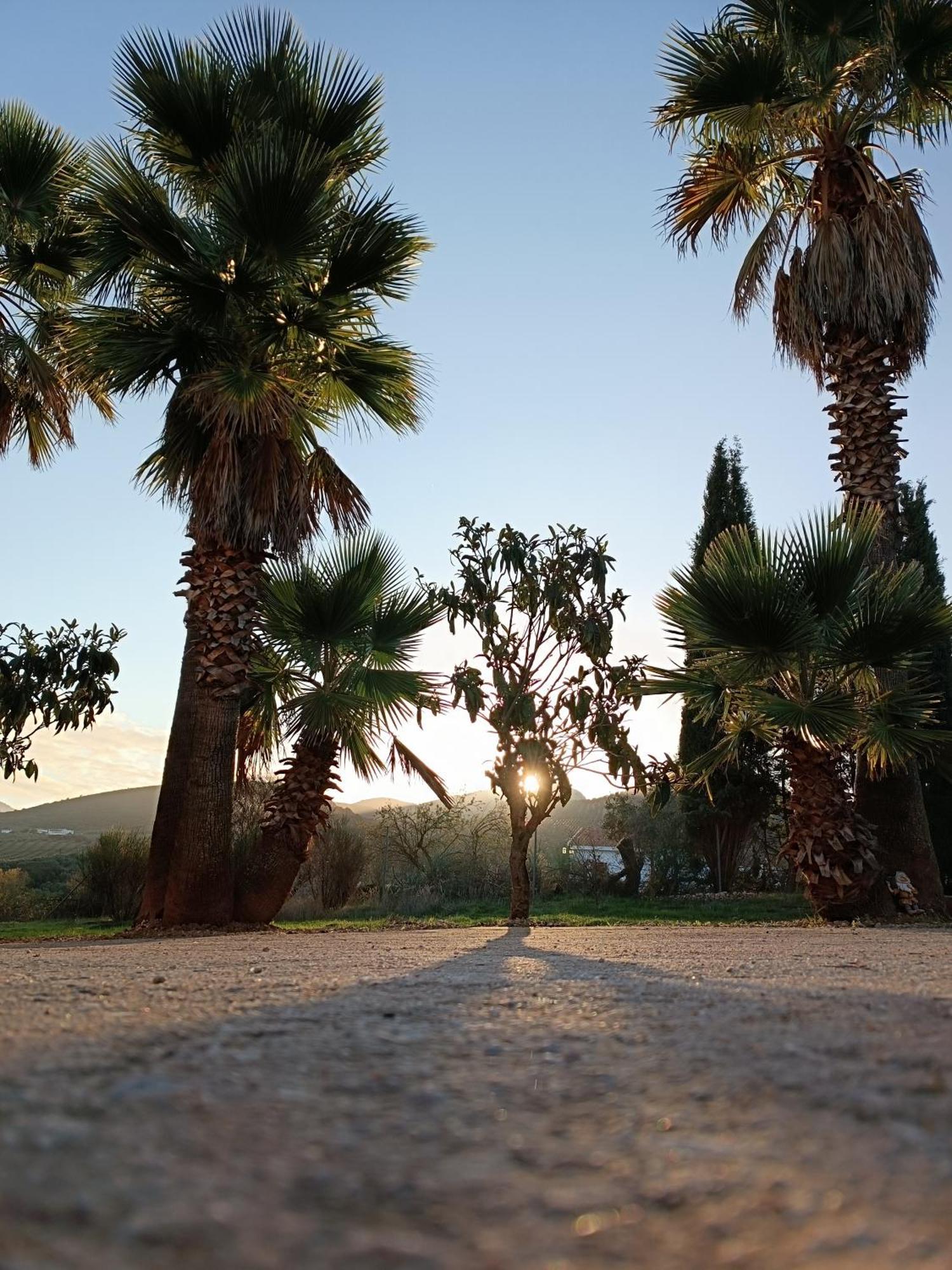 Cortijo Petra Bed and Breakfast Villanueva del Rosario Buitenkant foto